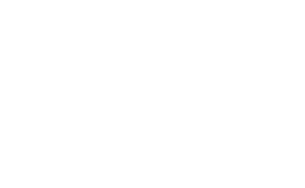 logo-1zenner