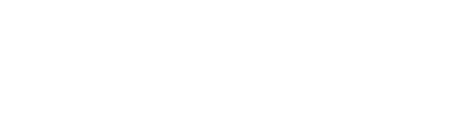 Mainstarlogogroßwhite